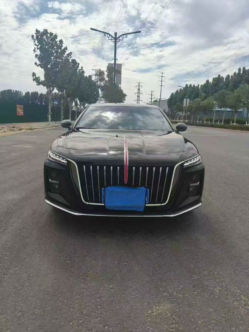 平顶山24年红旗H51