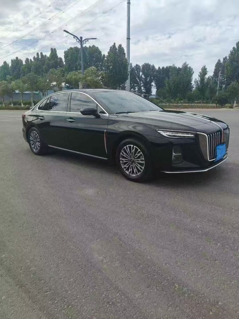 平顶山24年红旗H52