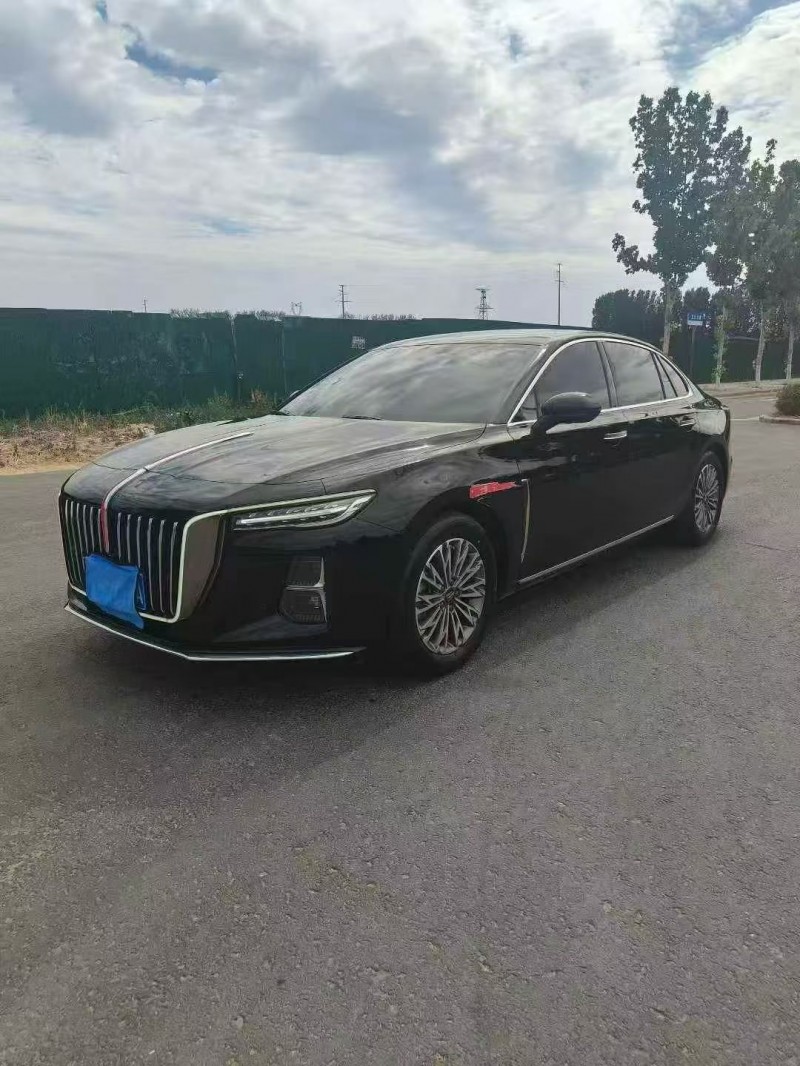 平顶山24年红旗H53