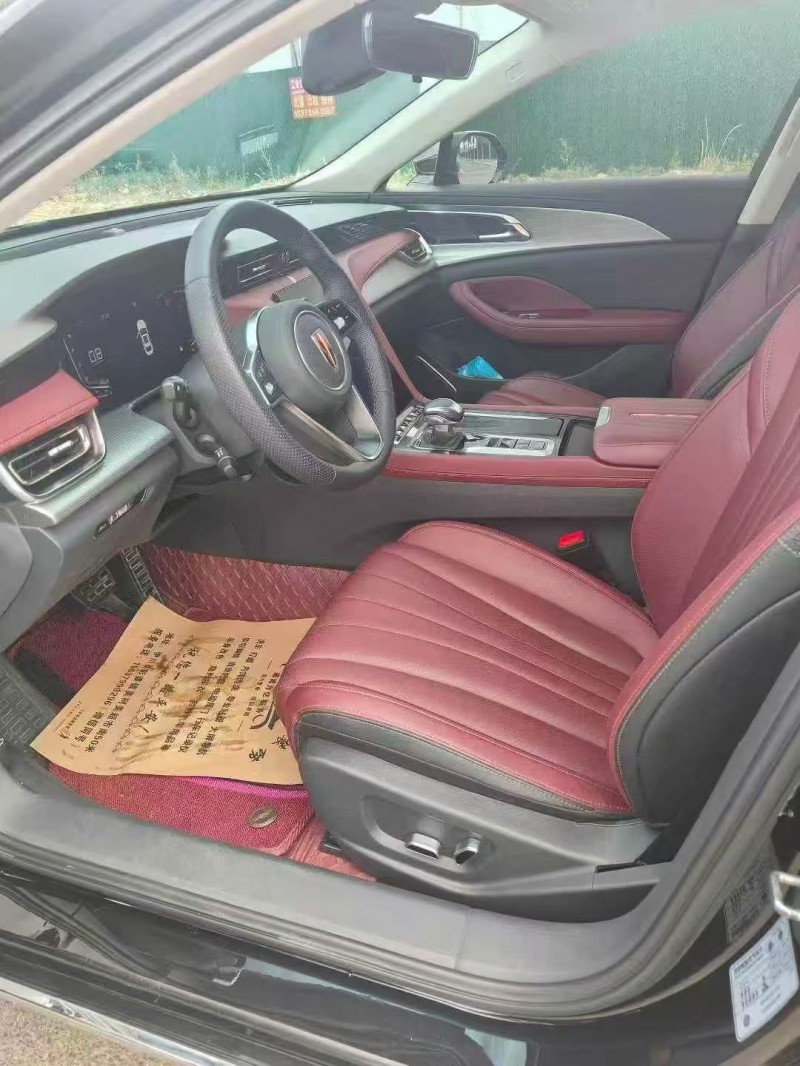 平顶山24年红旗H54