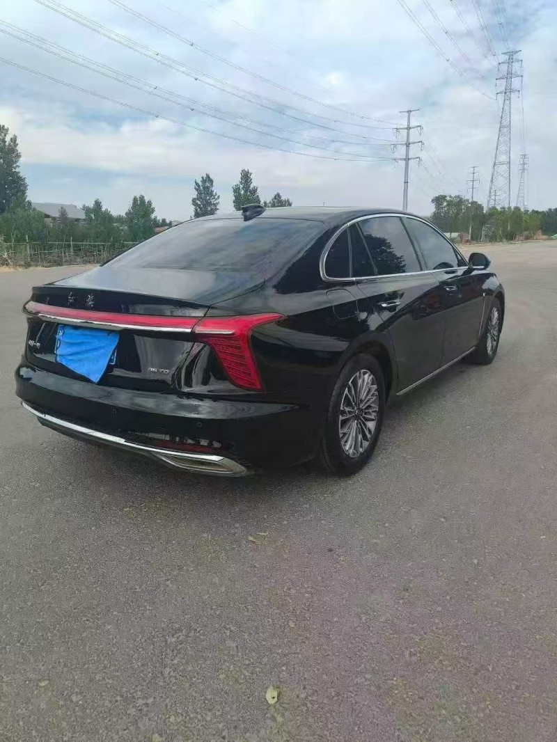 平顶山24年红旗H58