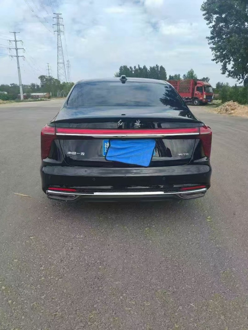 平顶山24年红旗H59