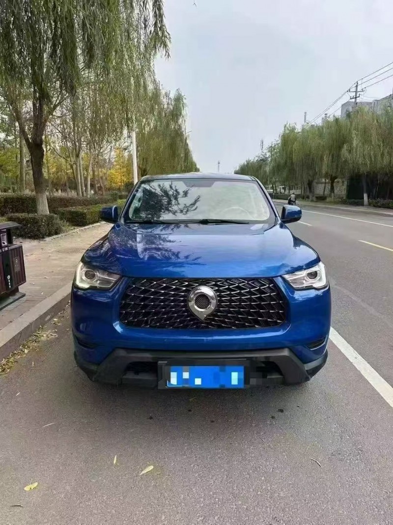 潍坊22年长城汽车炮 皮卡1