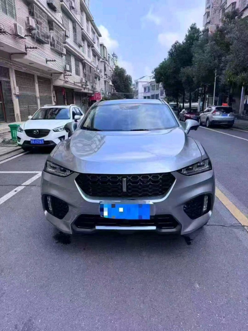 邵阳19年长城汽车魏牌1