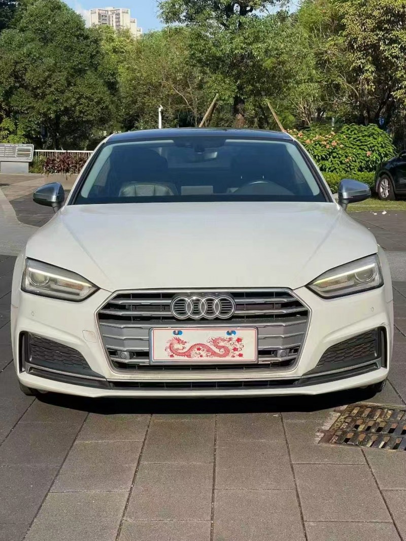 佛山17年奥迪A51