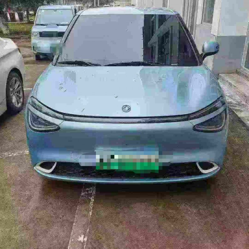 临沂24年东风纳米1