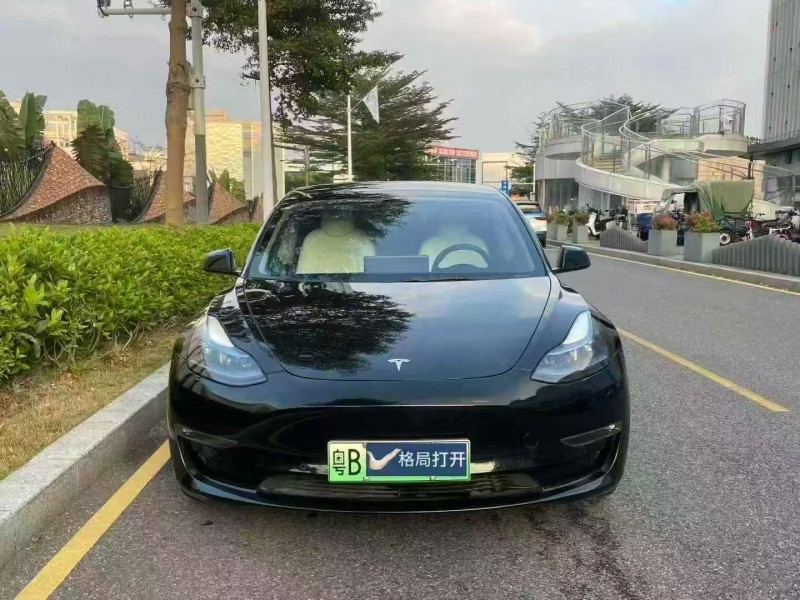 深圳22年特斯拉MODEL 31