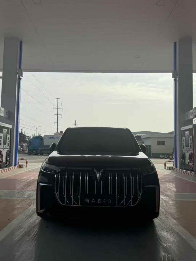 东营24年岚图汽车梦想家1