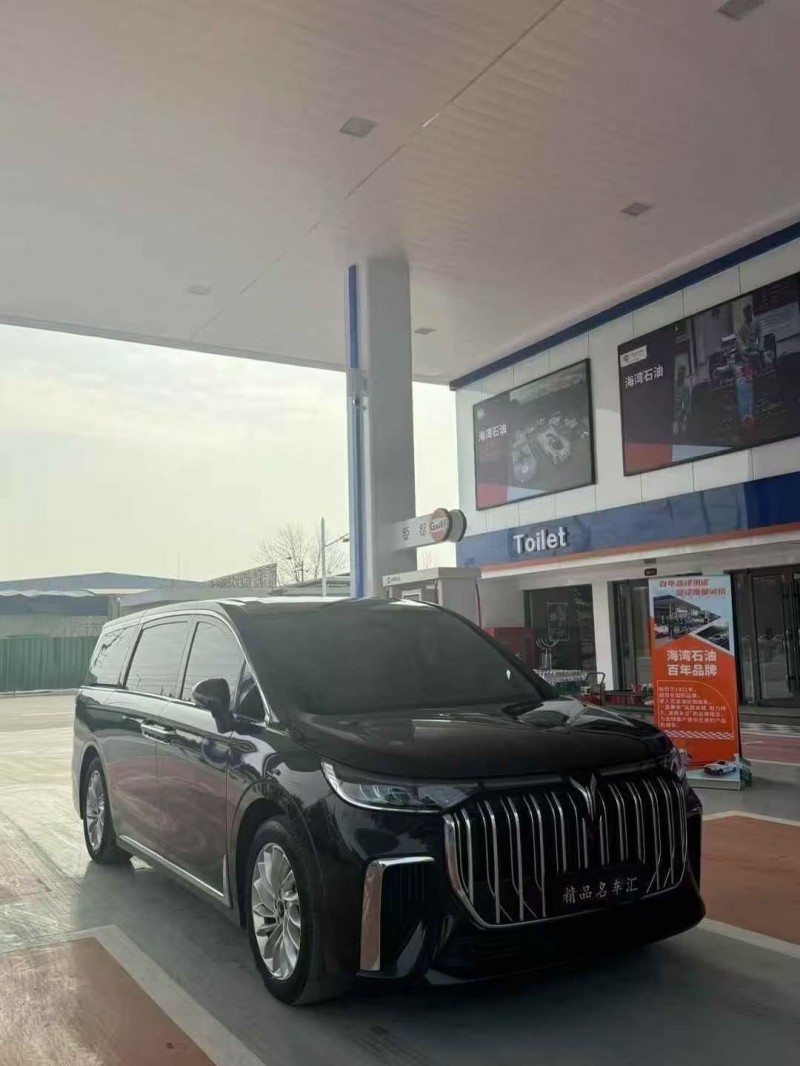 东营24年岚图汽车梦想家3