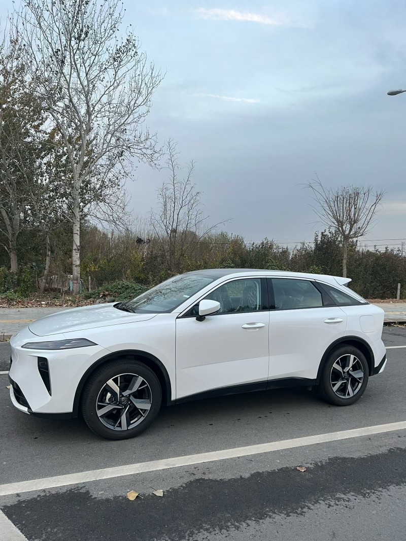 廊坊25年启辰大V2