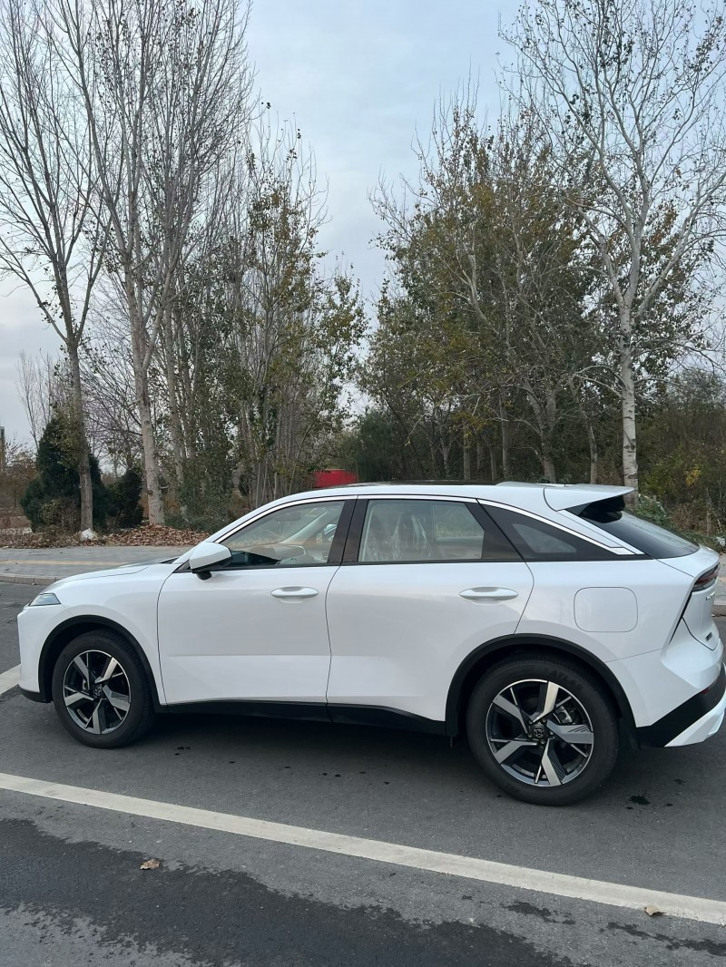 廊坊25年启辰大V5