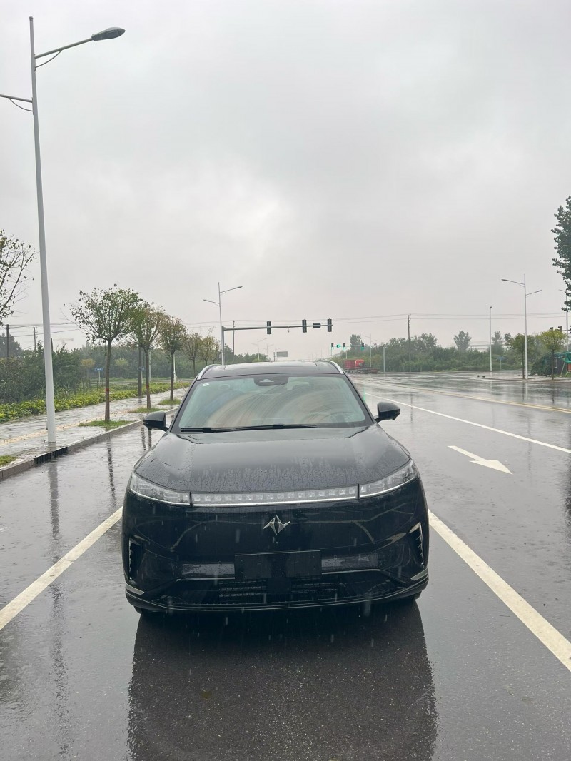 廊坊25年东风奕派1