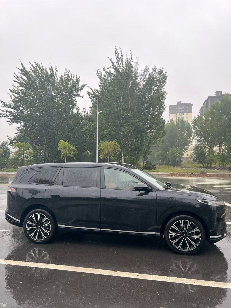 廊坊25年东风奕派3