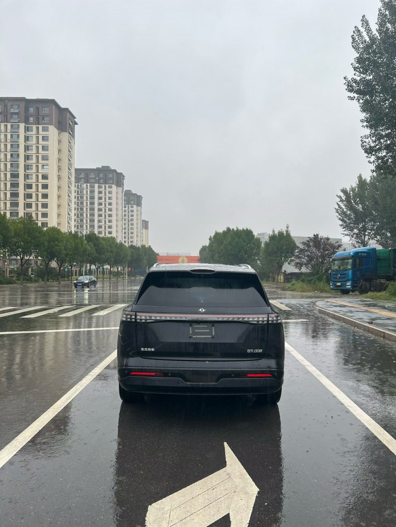 廊坊25年东风奕派4