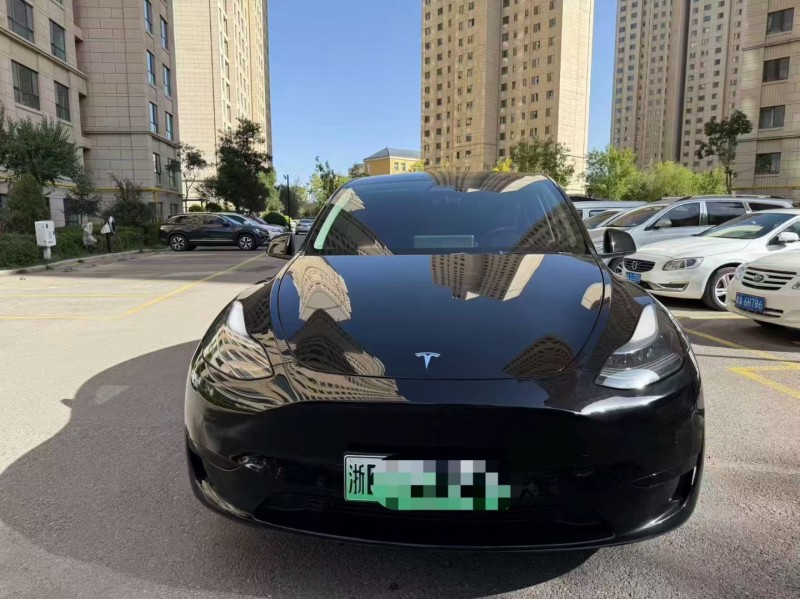 廊坊23年特斯拉MODEL Y1