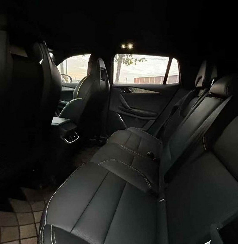 延安24年领克065