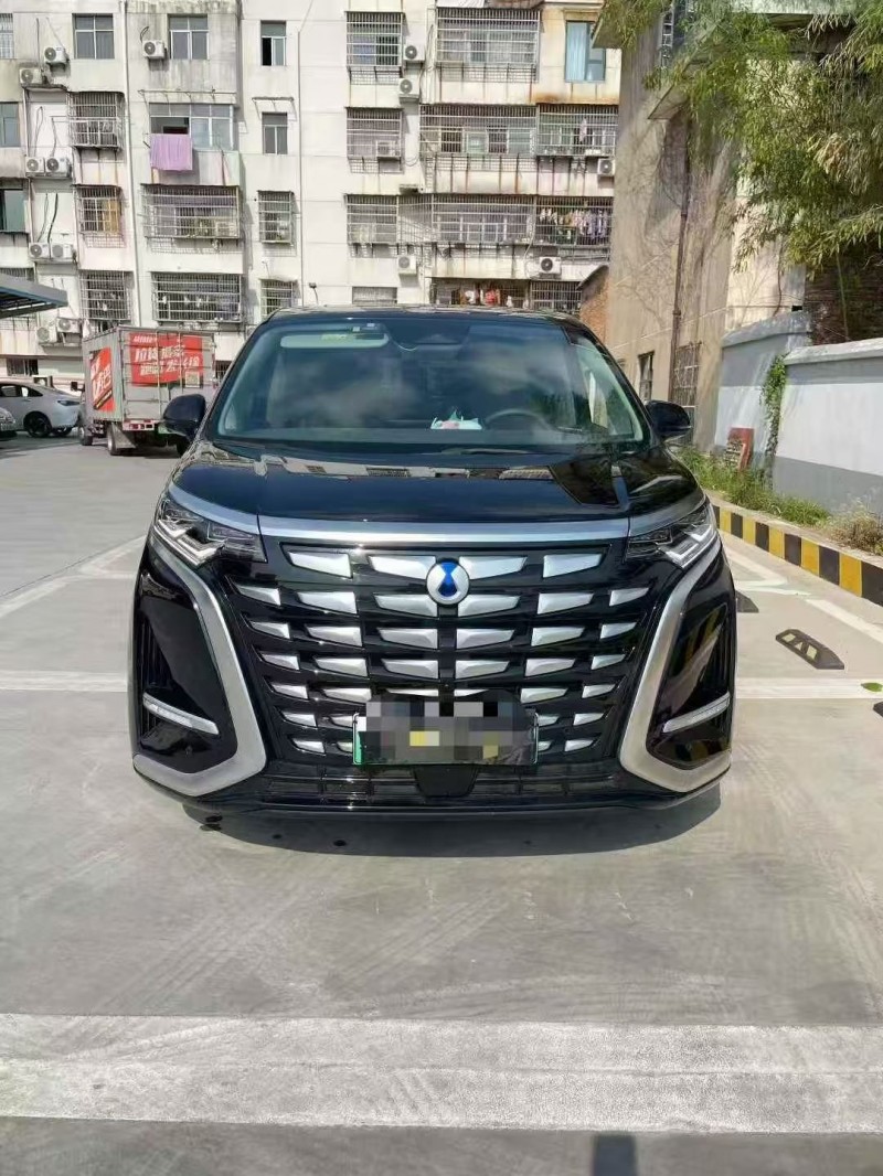 萍乡24年腾势D91