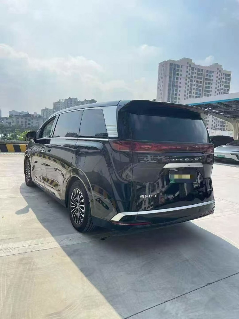 萍乡24年腾势D98