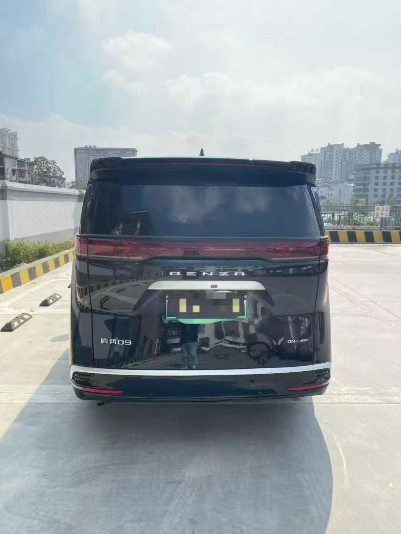 萍乡24年腾势D99