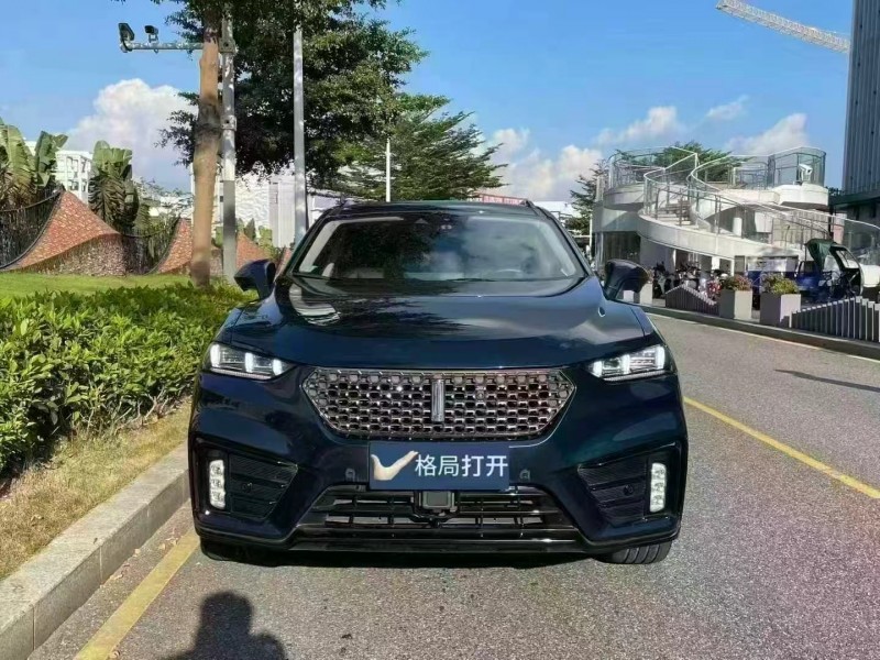 深圳21年长城汽车WEY1