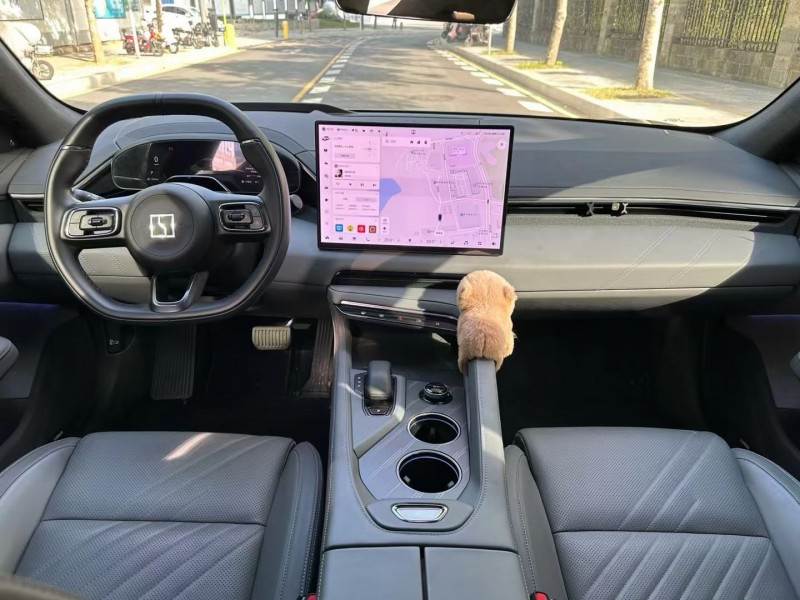 佛山24年极氪汽车0015