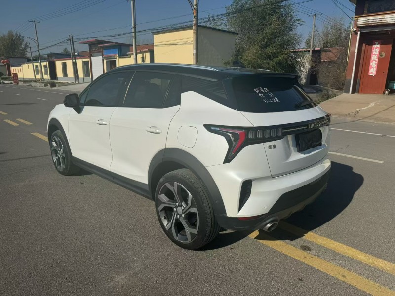 泰安23年领克065