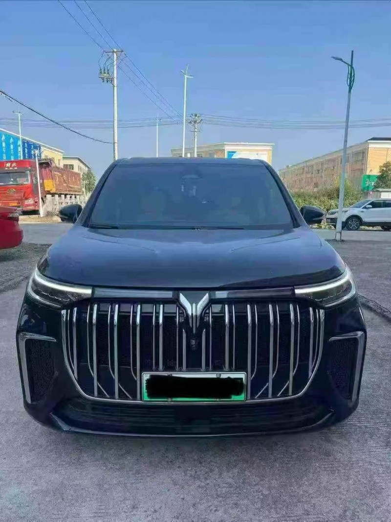 芜湖24年岚图汽车梦想家1