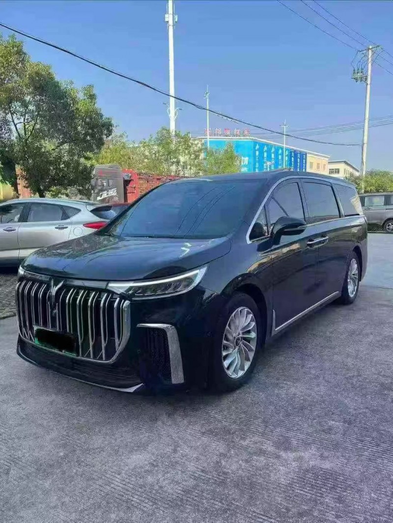 芜湖24年岚图汽车梦想家2