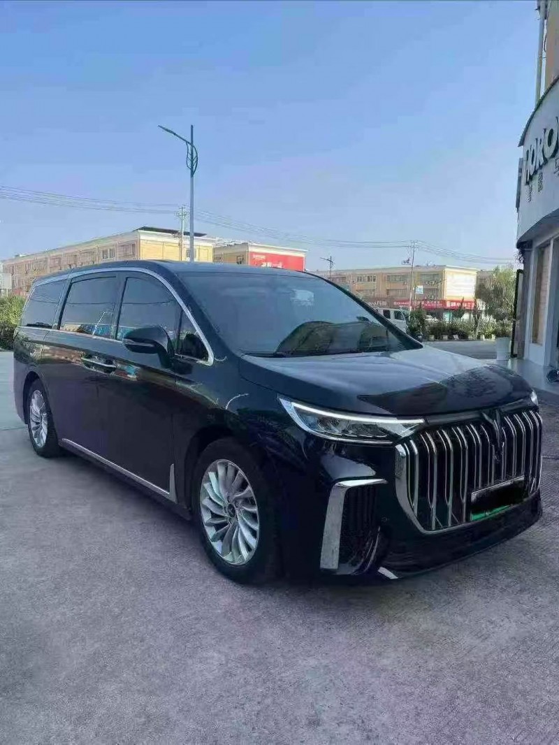 芜湖24年岚图汽车梦想家3