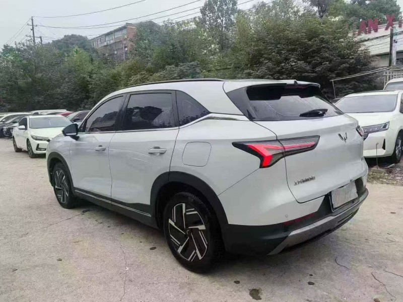 湛江25年五菱汽车星光8