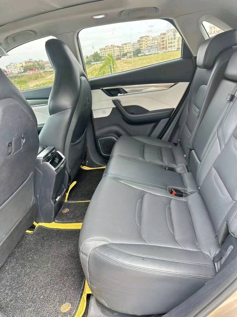 广州20年威马汽车EX-55