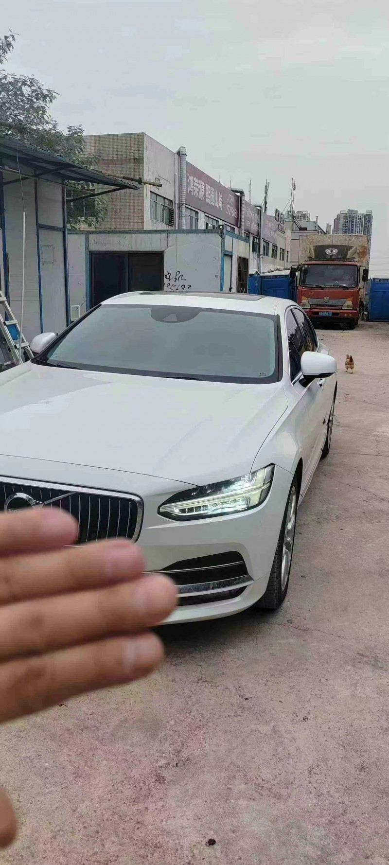 东莞19年沃尔沃S903