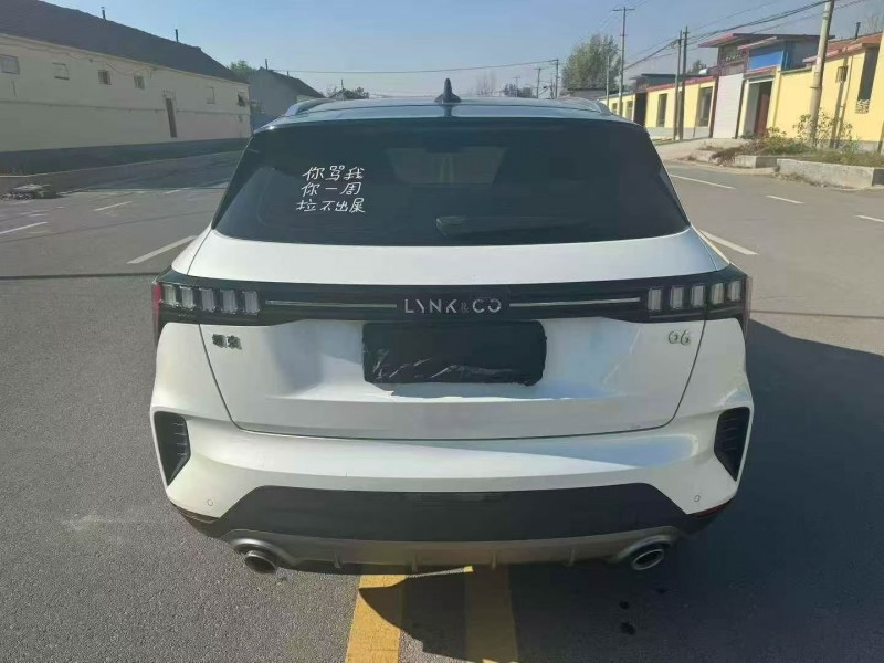 淄博23年领克069