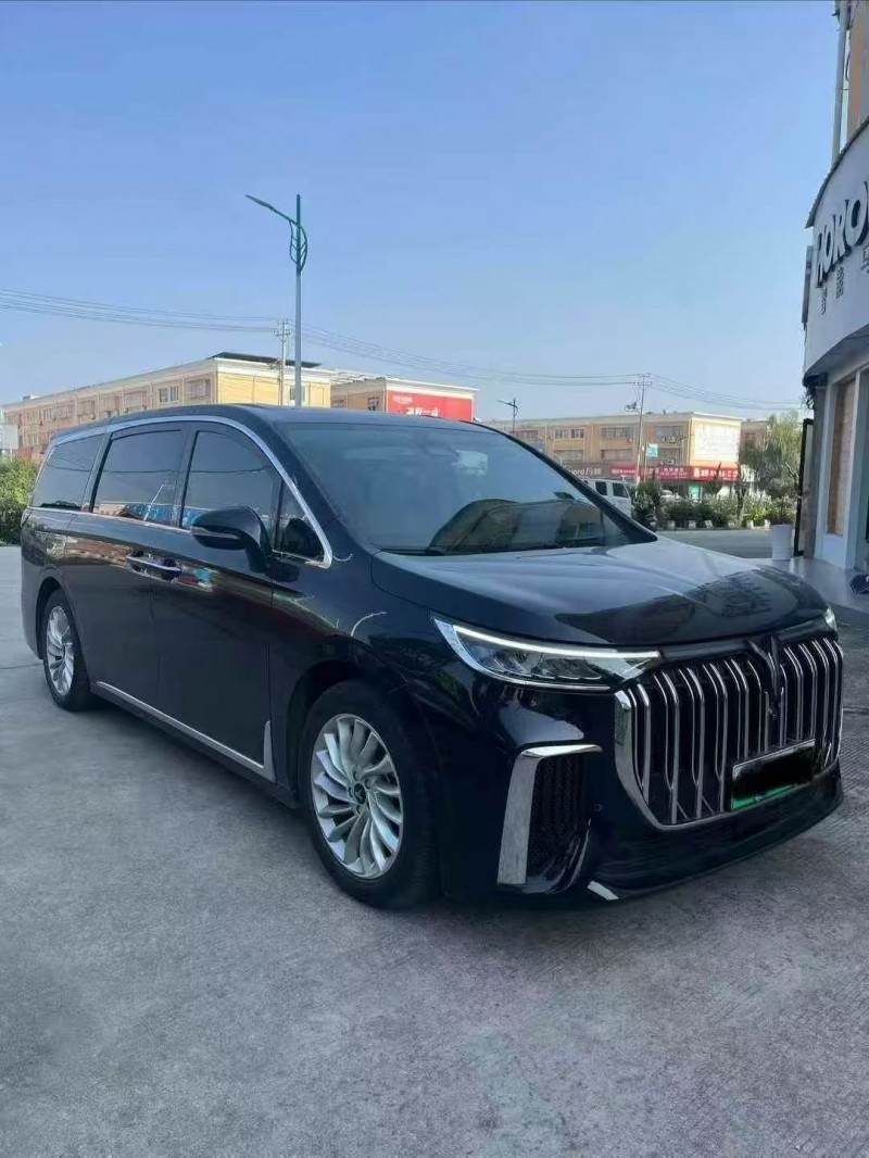 淮南24年岚图汽车梦想家2