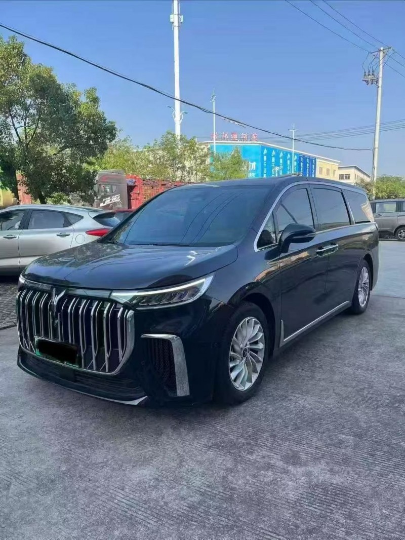 淮南24年岚图汽车梦想家3