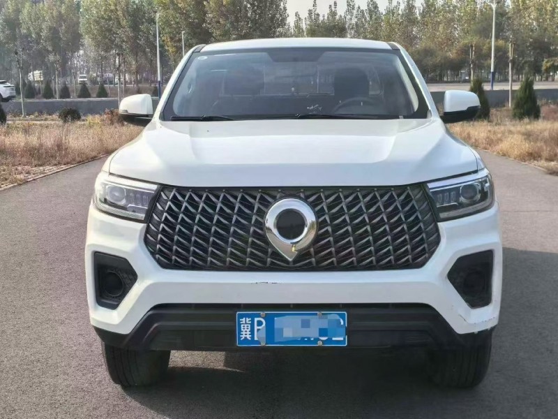 邯郸23年长城汽车炮 皮卡1