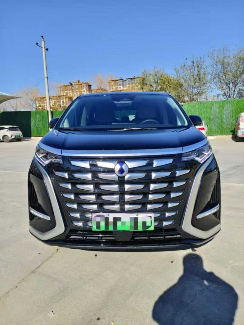 邯郸25年腾势D91