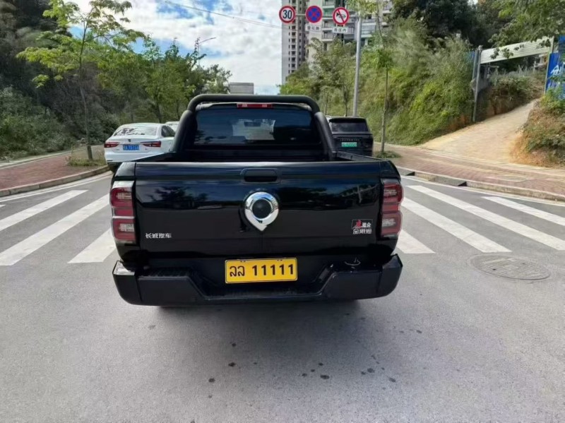 北海24年长城汽车炮 皮卡9