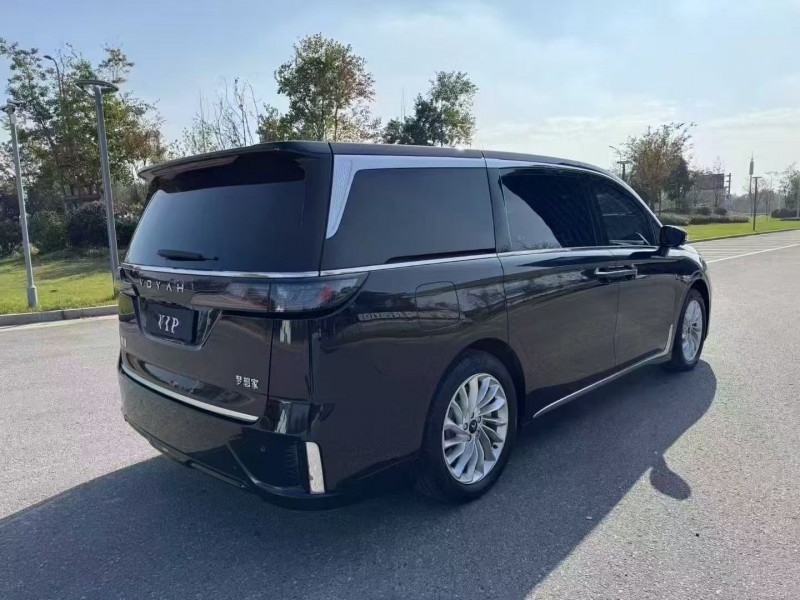 南通24年岚图汽车梦想家9