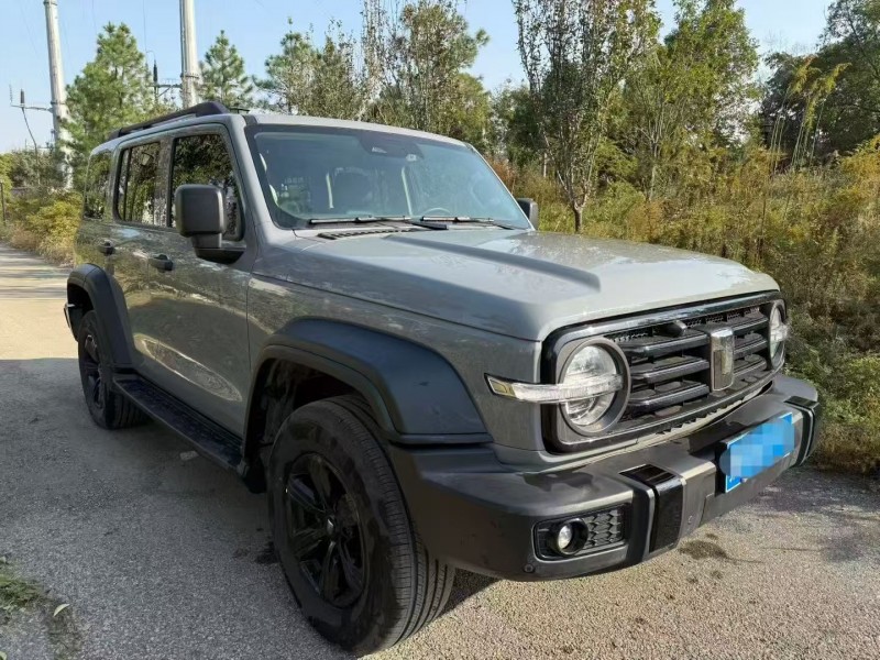 鄂州24年长城汽车坦克2