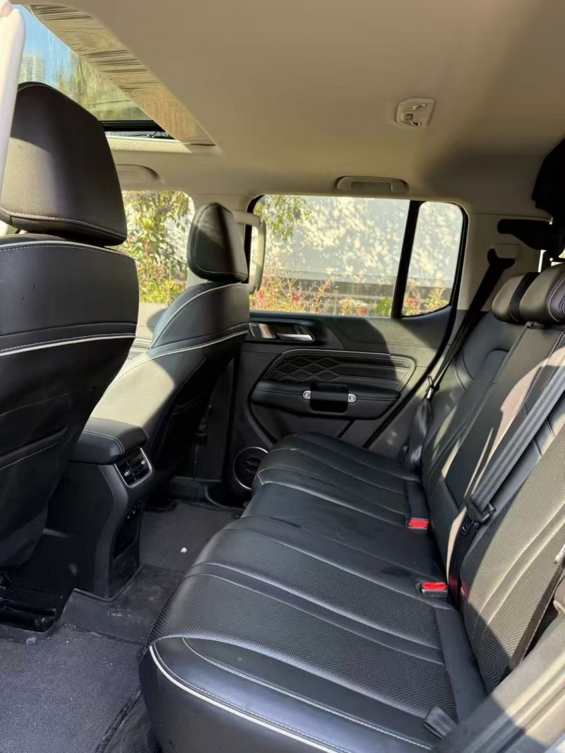 鄂州24年长城汽车坦克6