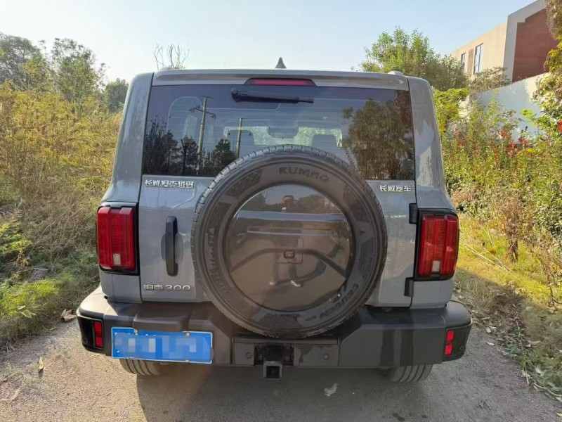 鄂州24年长城汽车坦克8