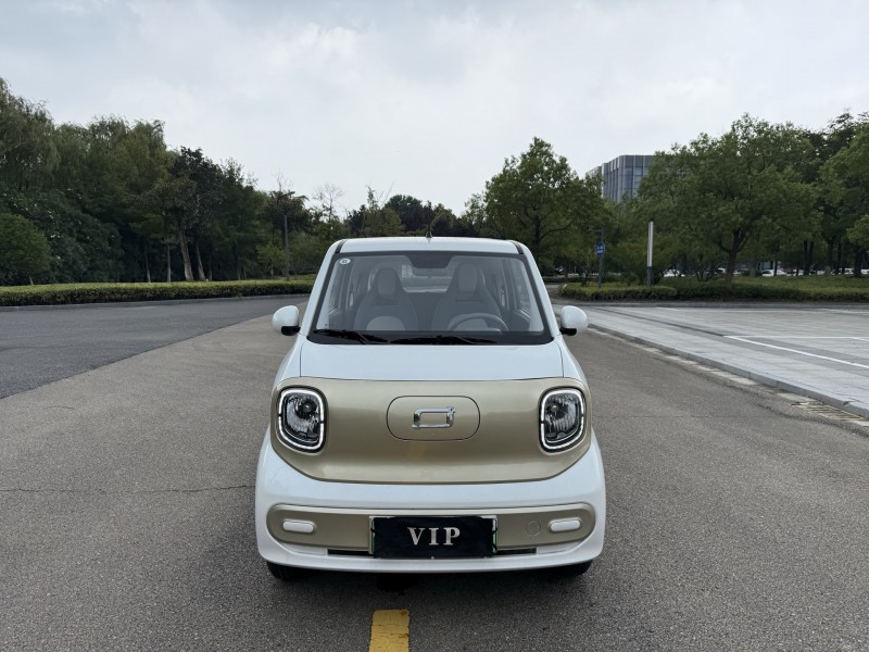 盐城25年奔腾小马1