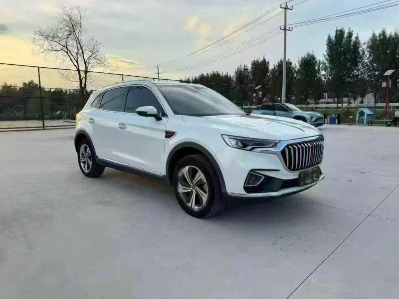 徐州20年红旗HS52