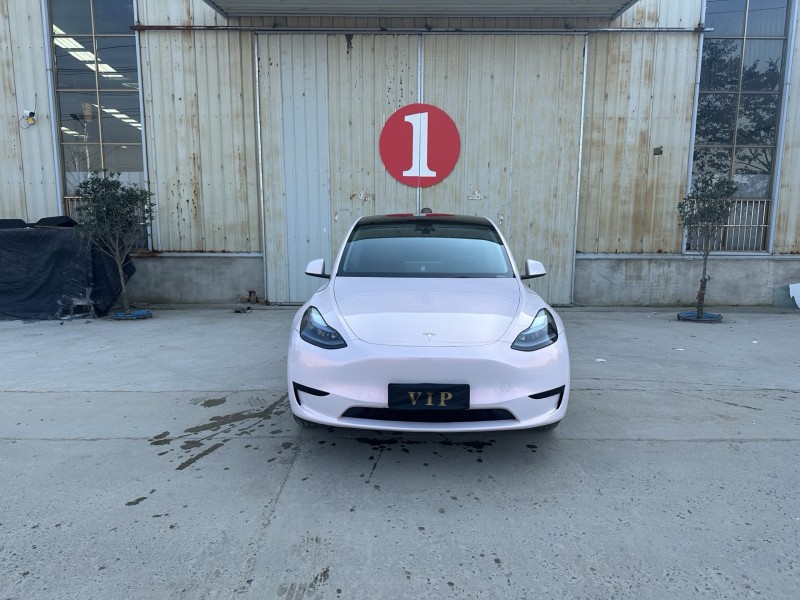 徐州24年特斯拉MODEL Y1