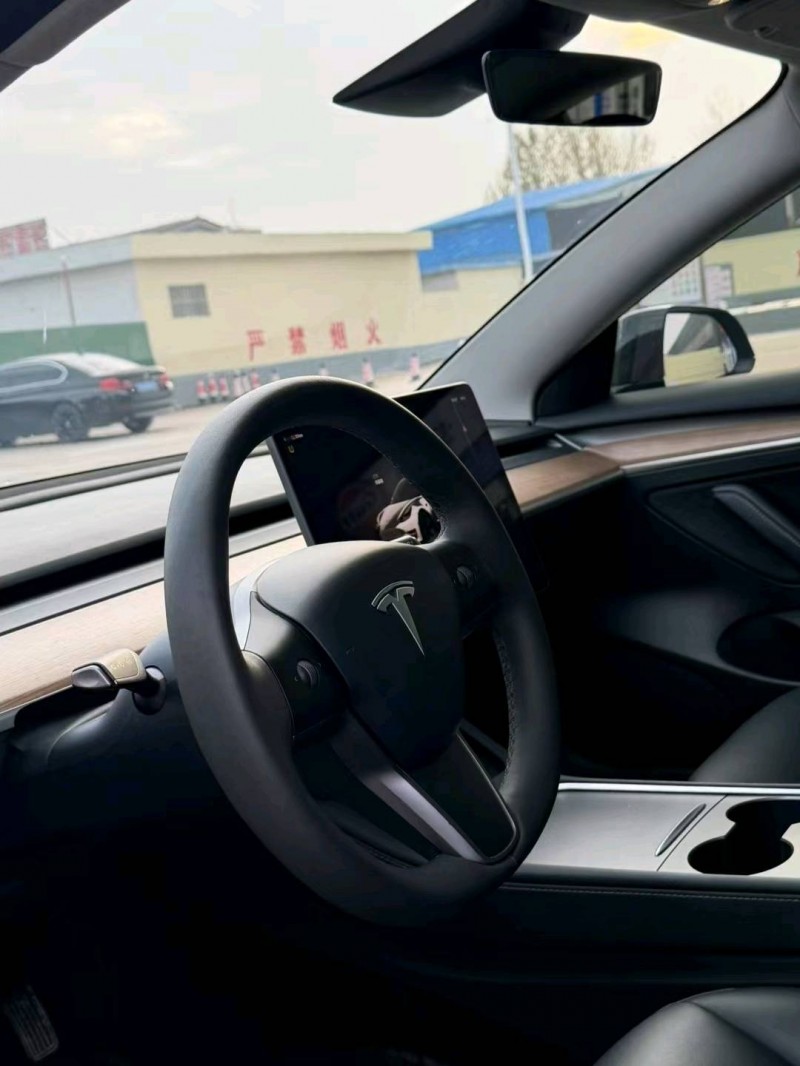 潍坊23年特斯拉MODEL 36