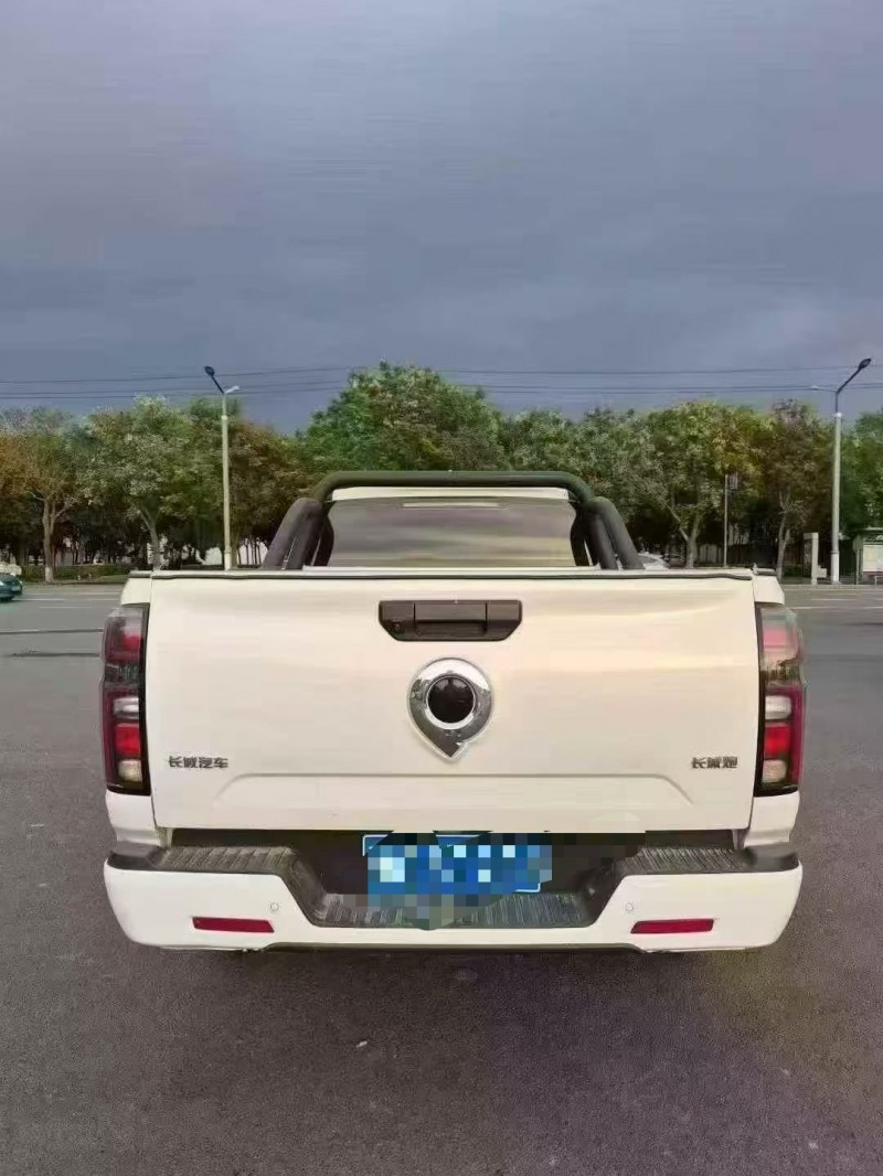 焦作24年长城汽车炮 皮卡9