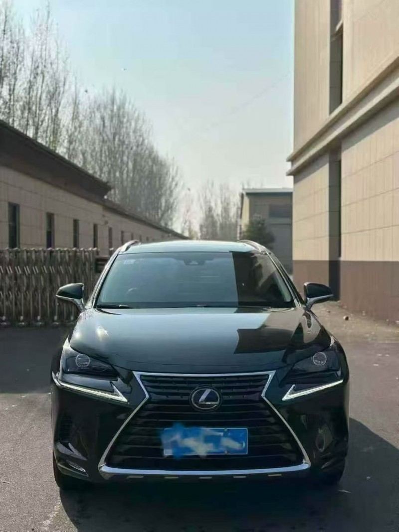 东营18年雷克萨斯NX1
