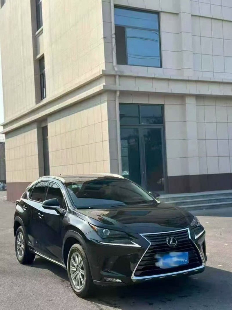 东营18年雷克萨斯NX2