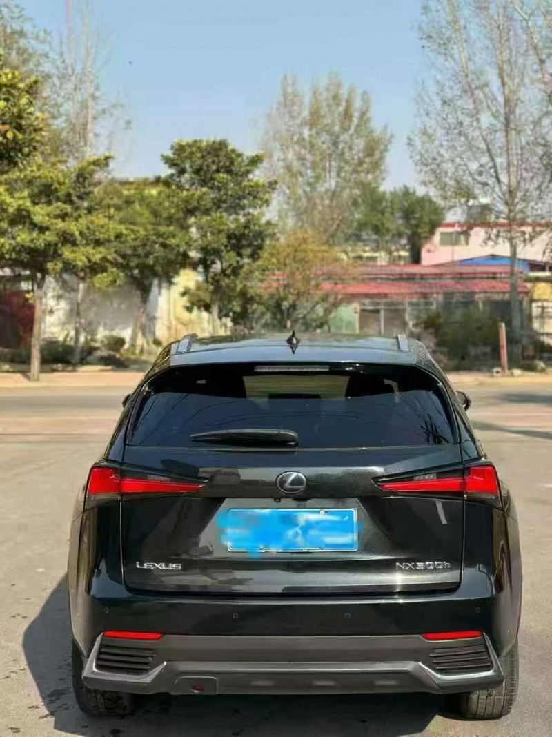 东营18年雷克萨斯NX8